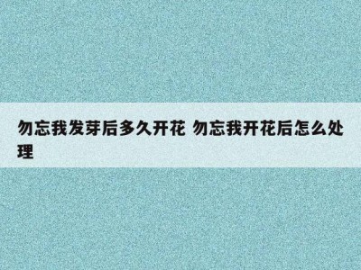 勿忘我发芽后多久开花 勿忘我开花后怎么处理