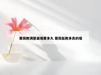 蔷薇爬满整面墙要多久 蔷薇能爬多高的墙