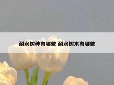 耐水树种有哪些 耐水树木有哪些