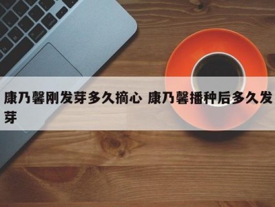 康乃馨刚发芽多久摘心 康乃馨播种后多久发芽