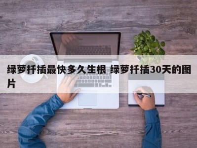 绿萝扦插最快多久生根 绿萝扦插30天的图片