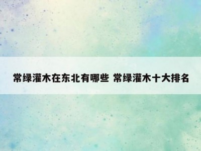 常绿灌木在东北有哪些 常绿灌木十大排名