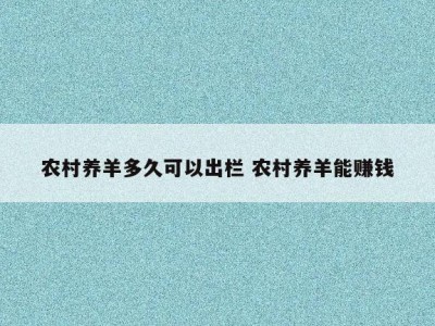 农村养羊多久可以出栏 农村养羊能赚钱