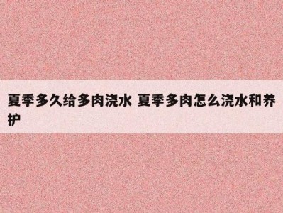 夏季多久给多肉浇水 夏季多肉怎么浇水和养护