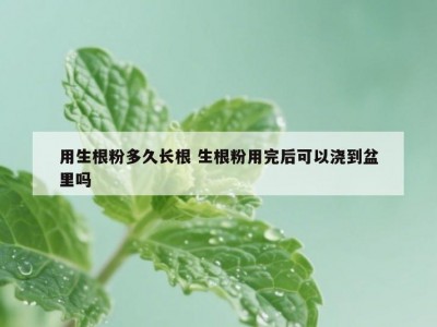 用生根粉多久长根 生根粉用完后可以浇到盆里吗