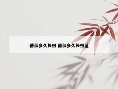 蔷薇多久长根 蔷薇多久长根茎