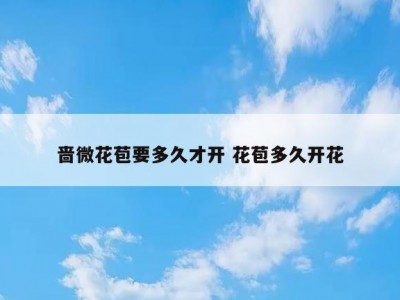 啬微花苞要多久才开 花苞多久开花