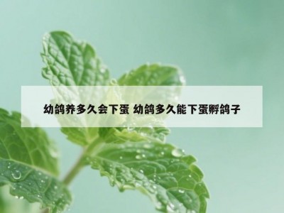 幼鸽养多久会下蛋 幼鸽多久能下蛋孵鸽子