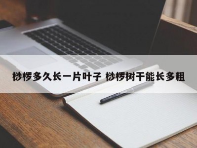 桫椤多久长一片叶子 桫椤树干能长多粗