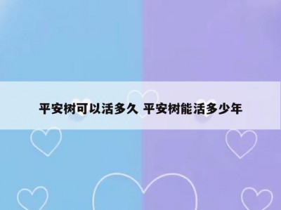 平安树可以活多久 平安树能活多少年