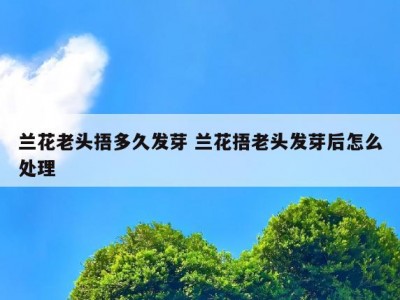 兰花老头捂多久发芽 兰花捂老头发芽后怎么处理
