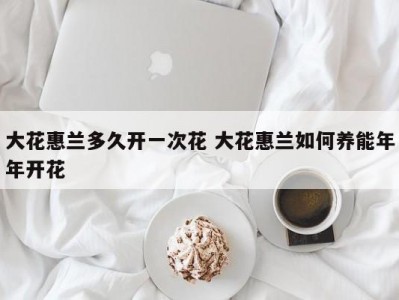 大花惠兰多久开一次花 大花惠兰如何养能年年开花