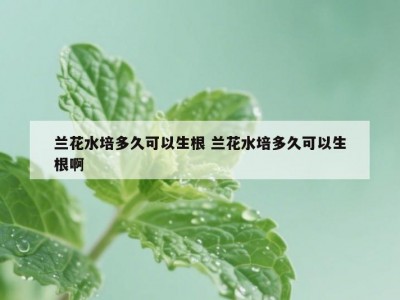 兰花水培多久可以生根 兰花水培多久可以生根啊