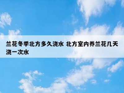 兰花冬季北方多久浇水 北方室内养兰花几天浇一次水