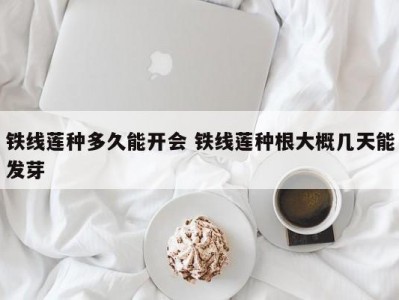 铁线莲种多久能开会 铁线莲种根大概几天能发芽
