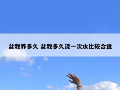 盆栽养多久 盆栽多久浇一次水比较合适