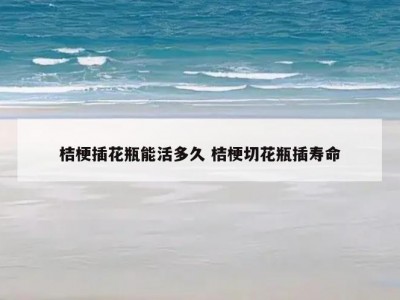 桔梗插花瓶能活多久 桔梗切花瓶插寿命