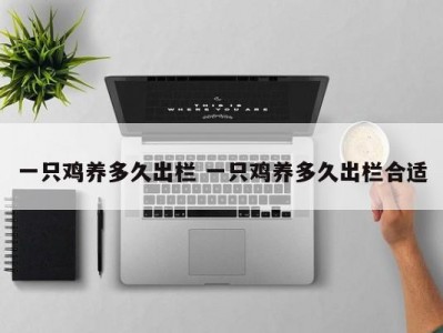 一只鸡养多久出栏 一只鸡养多久出栏合适