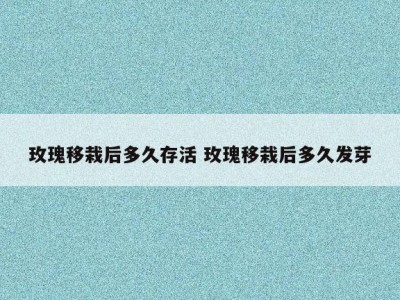 玫瑰移栽后多久存活 玫瑰移栽后多久发芽