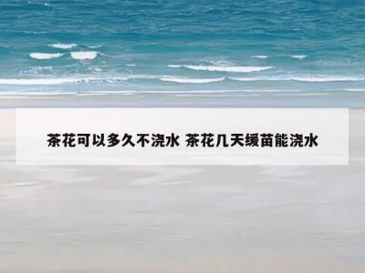 茶花可以多久不浇水 茶花几天缓苗能浇水