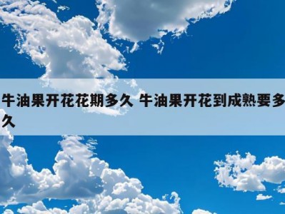 牛油果开花花期多久 牛油果开花到成熟要多久