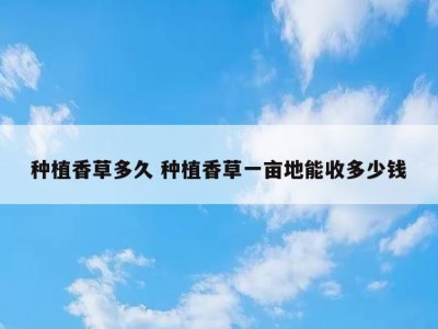 种植香草多久 种植香草一亩地能收多少钱