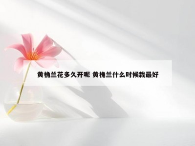 黄桷兰花多久开呢 黄桷兰什么时候栽最好