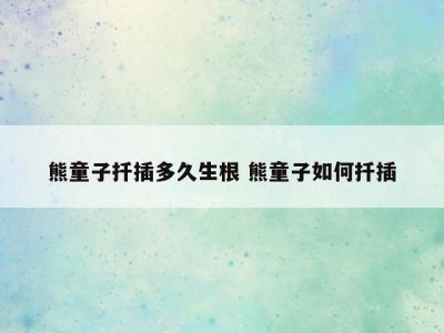 熊童子扦插多久生根 熊童子如何扦插