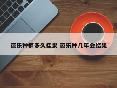 芭乐种植多久挂果 芭乐种几年会结果
