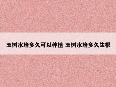 玉树水培多久可以种植 玉树水培多久生根