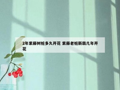 2年紫藤树桩多久开花 紫藤老桩新栽几年开花