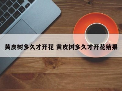 黄皮树多久才开花 黄皮树多久才开花结果