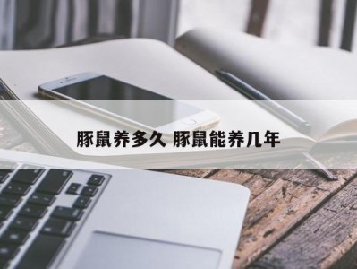 豚鼠养多久 豚鼠能养几年