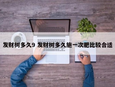 发财树多久9 发财树多久施一次肥比较合适