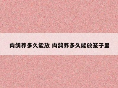 肉鸽养多久能放 肉鸽养多久能放笼子里