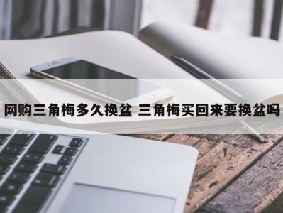 网购三角梅多久换盆 三角梅买回来要换盆吗