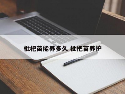 枇杷苗能养多久 枇杷苗养护