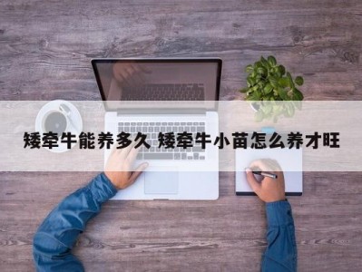矮牵牛能养多久 矮牵牛小苗怎么养才旺