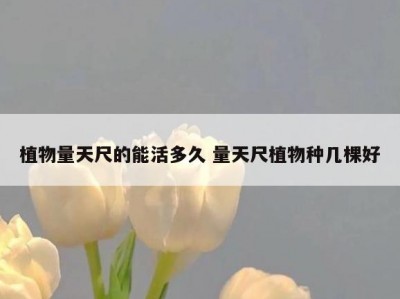 植物量天尺的能活多久 量天尺植物种几棵好