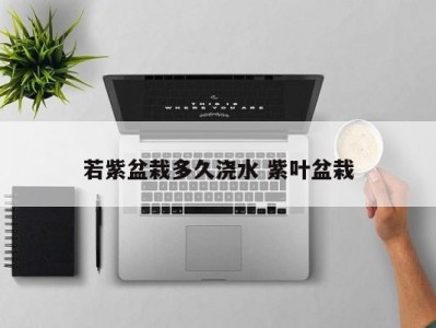 若紫盆栽多久浇水 紫叶盆栽