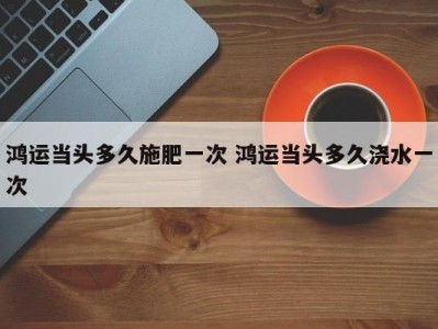 鸿运当头多久施肥一次 鸿运当头多久浇水一次