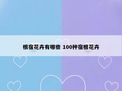 根宿花卉有哪些 100种宿根花卉