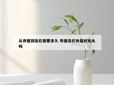 从养猪到出栏需要多久 养猪出栏快是好兆头吗
