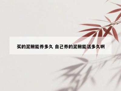 买的泥鳅能养多久 自己养的泥鳅能活多久啊