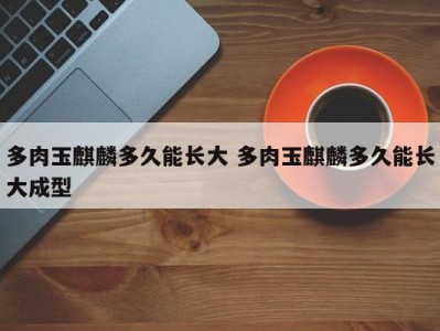 多肉玉麒麟多久能长大 多肉玉麒麟多久能长大成型
