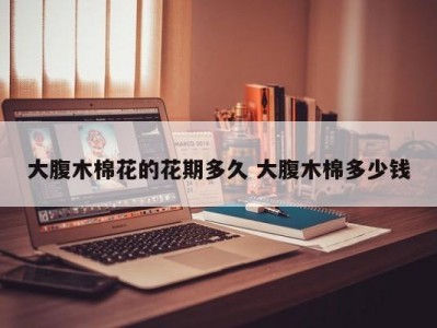 大腹木棉花的花期多久 大腹木棉多少钱
