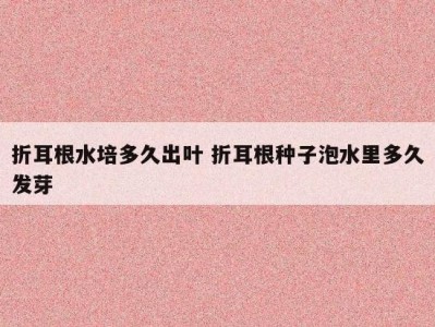 折耳根水培多久出叶 折耳根种子泡水里多久发芽