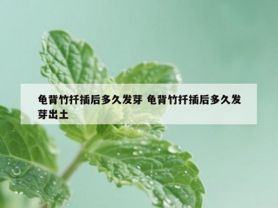 龟背竹扦插后多久发芽 龟背竹扦插后多久发芽出土