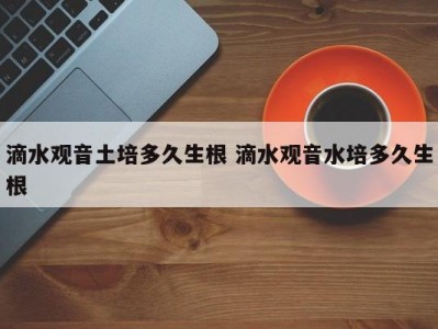 滴水观音土培多久生根 滴水观音水培多久生根