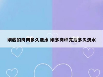 刚载的肉肉多久浇水 刚多肉种完后多久浇水